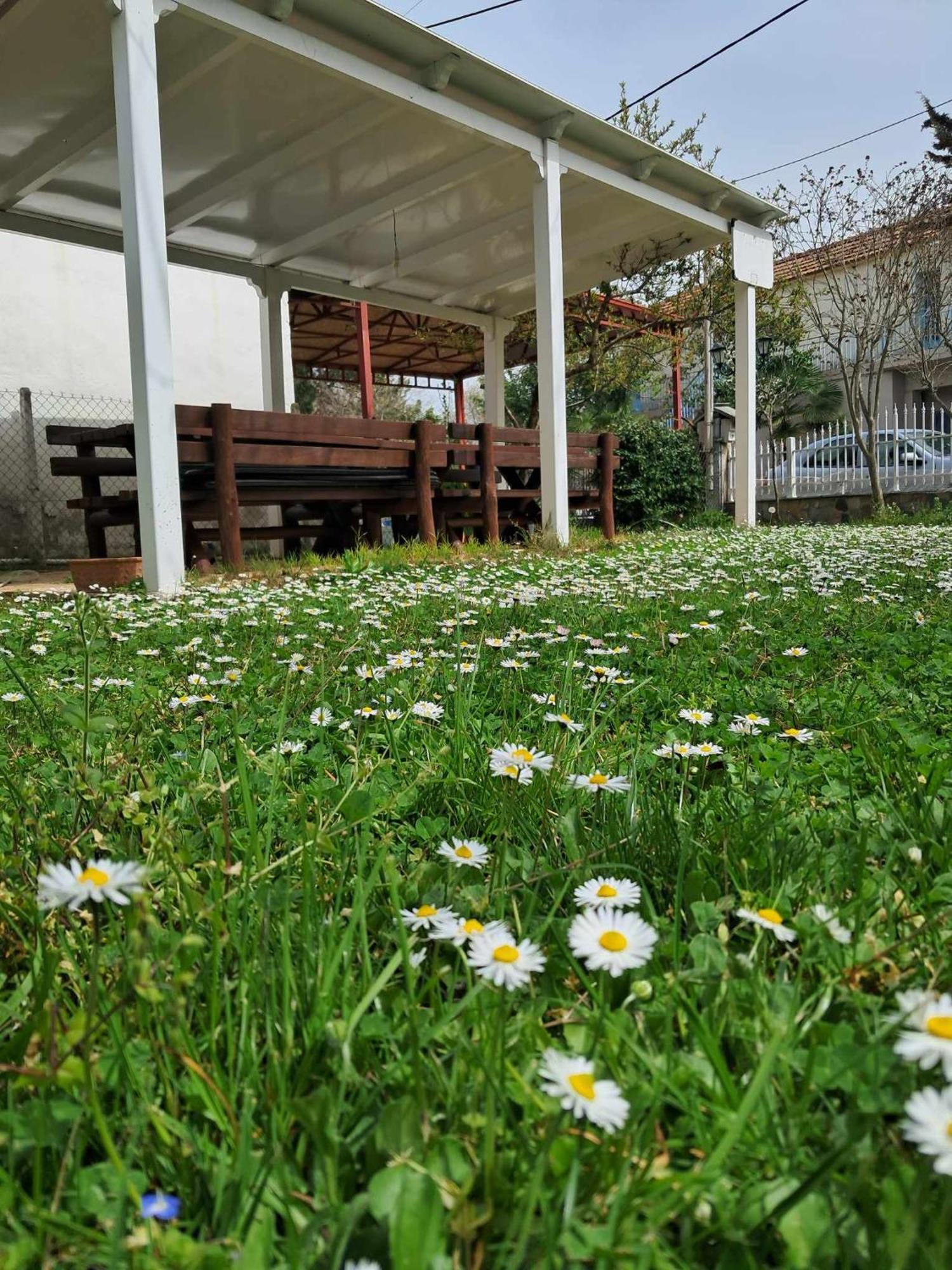 Villa Olympus Miracle Limín Litochórou Esterno foto