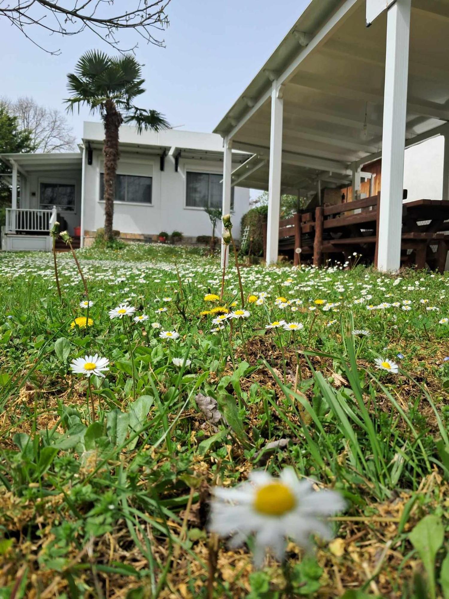 Villa Olympus Miracle Limín Litochórou Esterno foto